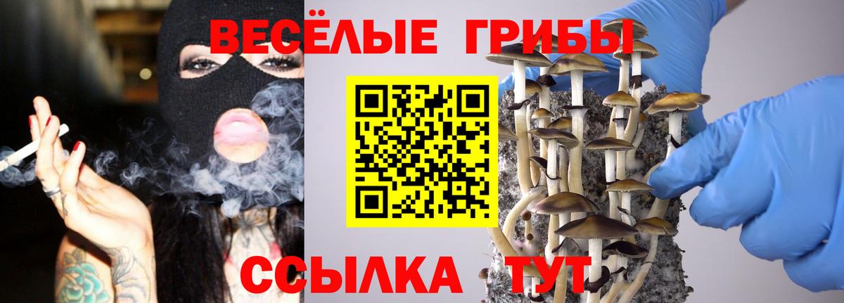 Псилоцибиновые грибы Cubensis Якутск